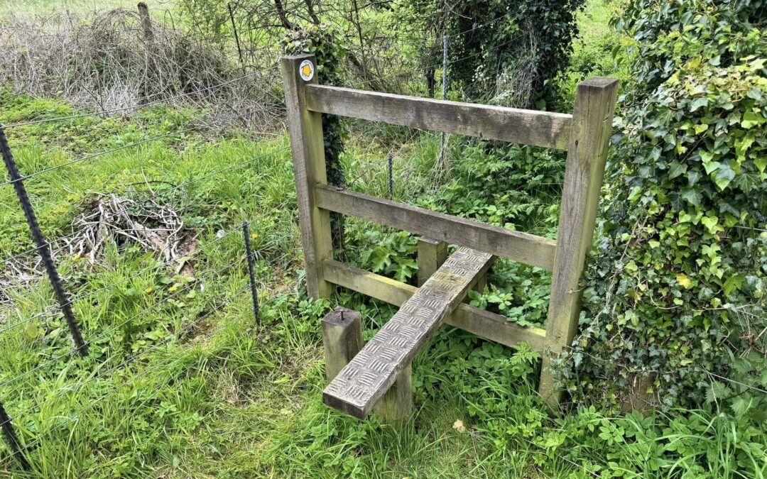 Replacing a Stile Step near Tilley